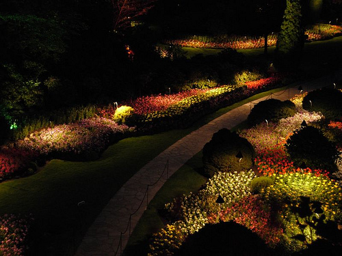 garden-downlighting